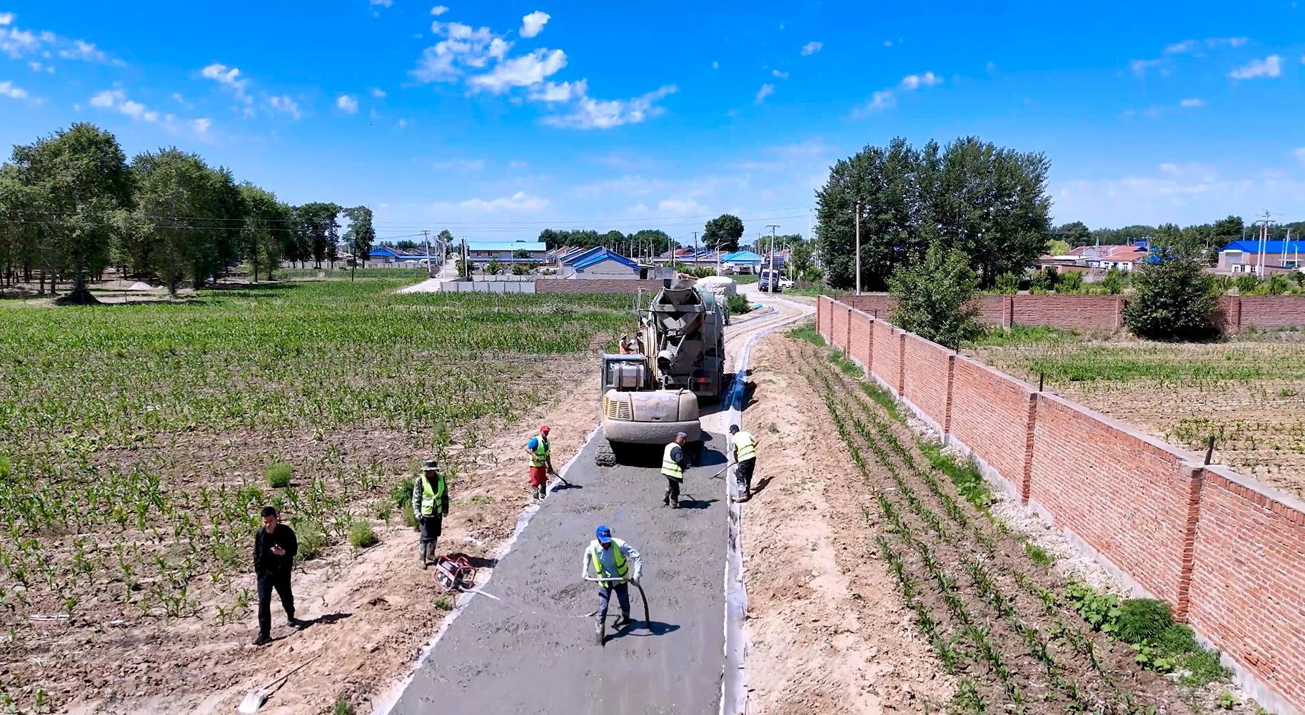 黑土555.jpg